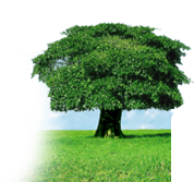 Nash Consultants Development Opportunities